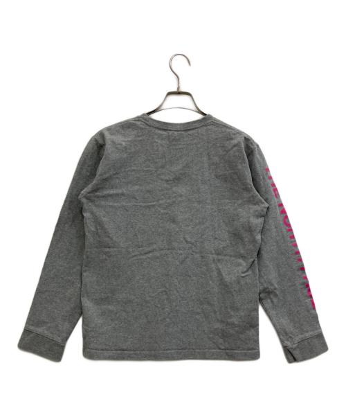 THE NORTH FACE（ザ ノース フェイス）THE NORTH FACE (ザ ノース フェイス) ロングスリーブカットソー グレー サイズ:Mの古着・服飾アイテム