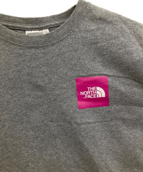 THE NORTH FACE（ザ ノース フェイス）THE NORTH FACE (ザ ノース フェイス) ロングスリーブカットソー グレー サイズ:Mの古着・服飾アイテム