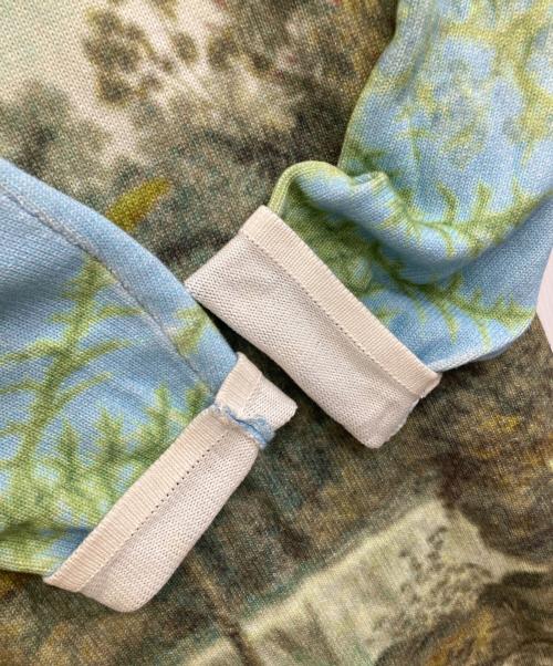 Ameri（アメリ）AMERI (アメリ) VINTAGE ILLUSTRATION PRINT KNIT TOP スカイブルー サイズ:Fの古着・服飾アイテム