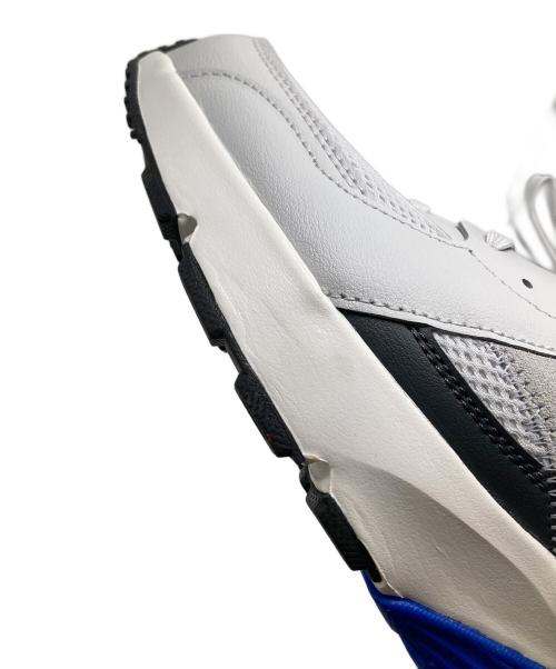 NIKE（ナイキ）NIKE (ナイキ) ローカットスニーカー グレー サイズ:27の古着・服飾アイテム