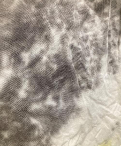 stussy（ステューシー）stussy (ステューシー) タイダイ柄カットソー ホワイト サイズ:Mの古着・服飾アイテム