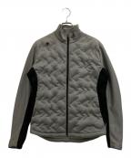 DESCENTE GOLFデサントゴルフ）の古着「ウィルドダウン ダウンジャケット」｜グレー