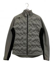 DESCENTE GOLF（デサントゴルフ）の古着「ウィルドダウン ダウンジャケット」｜グレー