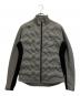 DESCENTE GOLF（デサントゴルフ）の古着「ウィルドダウン ダウンジャケット」｜グレー