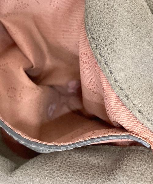 STELLA McCARTNEY（ステラマッカートニー）STELLA McCARTNEY (ステラマッカートニー) ファラベラ2wayバッグ グレーの古着・服飾アイテム