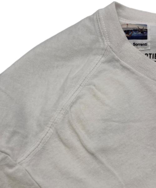 DAVIDE SORRENTI（ダヴィデ・ソレンティ）DAVIDE SORRENTI (ダヴィデ・ソレンティ) WACKO MARIA (ワコマリア) DAVIDE SORRENTIプリントTシャツ ホワイト サイズ:Ｌの古着・服飾アイテム