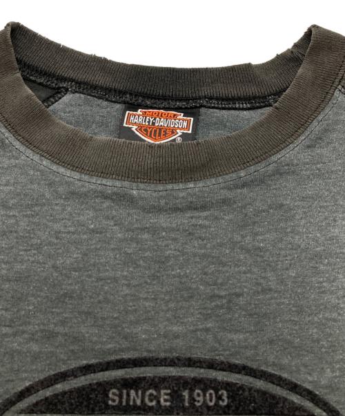 HARLEY-DAVIDSON（ハーレーダビッドソン）HARLEY-DAVIDSON (ハーレーダビッドソン) ラグランTシャツ グレー サイズ:Ｌの古着・服飾アイテム