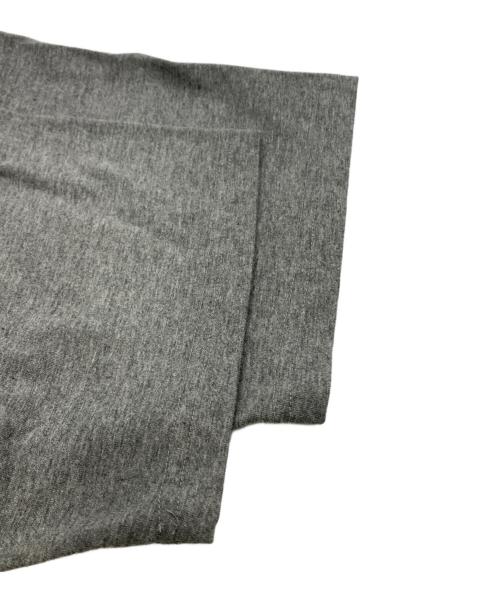 Snow peak（スノーピーク）Snow peak (スノーピーク) T-Shirt SHELTER グレー サイズ:XLの古着・服飾アイテム