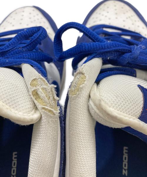 NIKE SB（ナイキエスビー）NIKE SB (ナイキエスビー) SB DUNK LOW PRM ブルー×ホワイト サイズ:27.5の古着・服飾アイテム