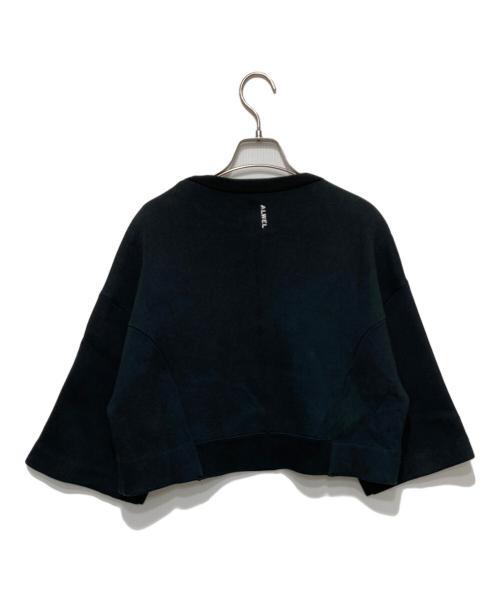 ALWEL（オルウェル）ALWEL (オルウェル) バックロゴクロップドスウェット ブラック サイズ:OSの古着・服飾アイテム
