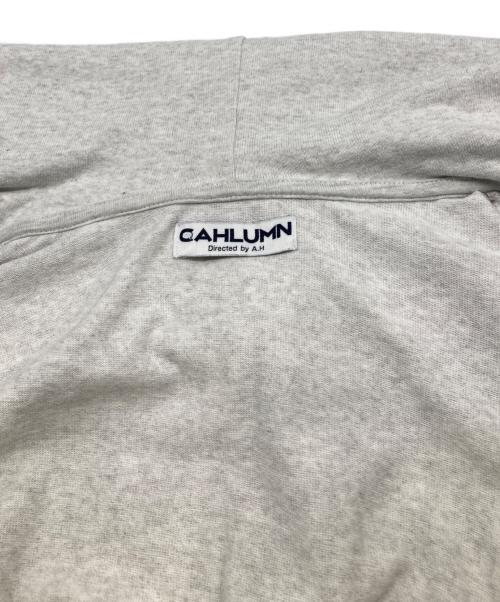 CAHLUMN（カウラム）CAHLUMN (カウラム) 天竺ハーフジップフーディ ライトグレー サイズ:Ｍの古着・服飾アイテム