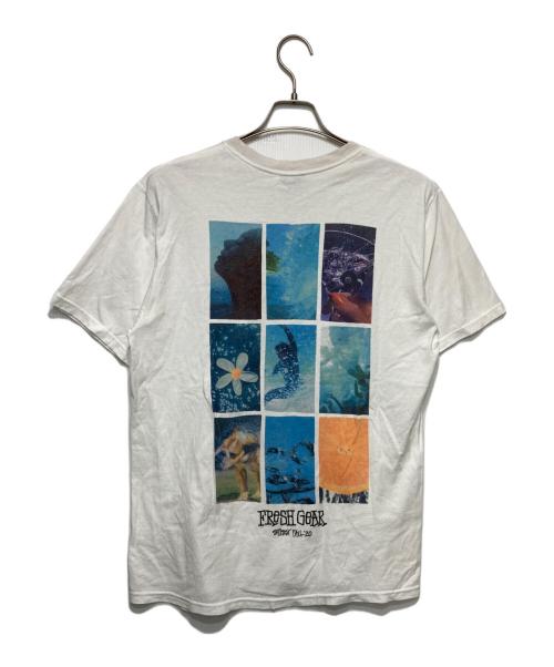 stussy（ステューシー）stussy (ステューシー) プリントTシャツ ホワイト サイズ:Ｍの古着・服飾アイテム