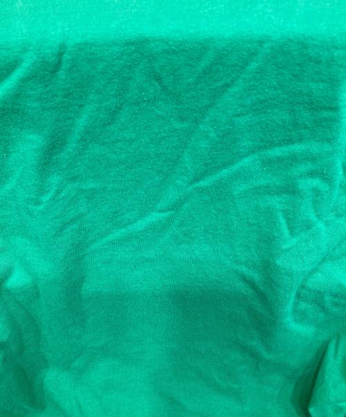 Palm Angels（パーム エンジェルス）Palm Angels (パーム エンジェルス) CLASSIC LOGO OVER TEE グリーン サイズ:Lの古着・服飾アイテム