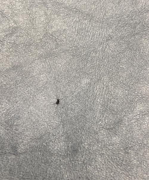 nano・universe（ナノ・ユニバース）nano・universe (ナノ・ユニバース) CLOSED (クローズド) ホースレザージャケット ネイビー サイズ:40の古着・服飾アイテム