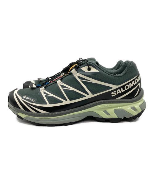 SALOMON（サロモン）SALOMON (サロモン) ローカットスニーカー グレー サイズ:27の古着・服飾アイテム