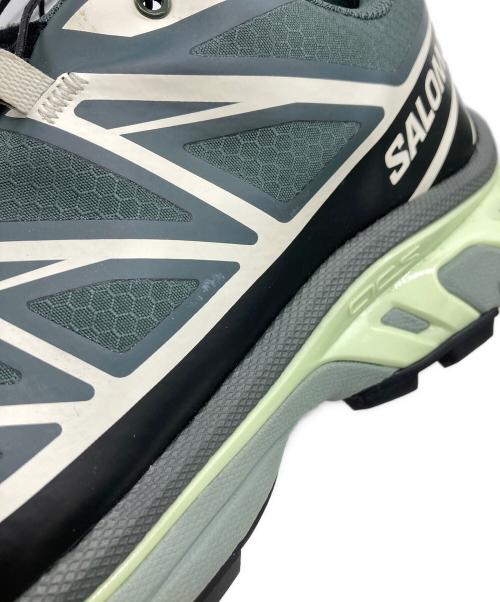 SALOMON（サロモン）SALOMON (サロモン) ローカットスニーカー グレー サイズ:27の古着・服飾アイテム