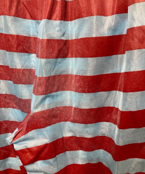 ROBE DE CHAMBRE COMME DES GARCONS（ローブドシャンブル コムデギャルソン）ROBE DE CHAMBRE COMME DES GARCONS (ローブドシャンブル コムデギャルソン) ボーダーパンツ レッド×ブルー サイズ:不明の古着・服飾アイテム