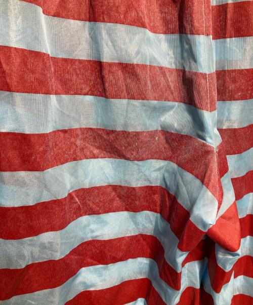 ROBE DE CHAMBRE COMME DES GARCONS（ローブドシャンブル コムデギャルソン）ROBE DE CHAMBRE COMME DES GARCONS (ローブドシャンブル コムデギャルソン) ボーダーパンツ レッド×ブルー サイズ:不明の古着・服飾アイテム