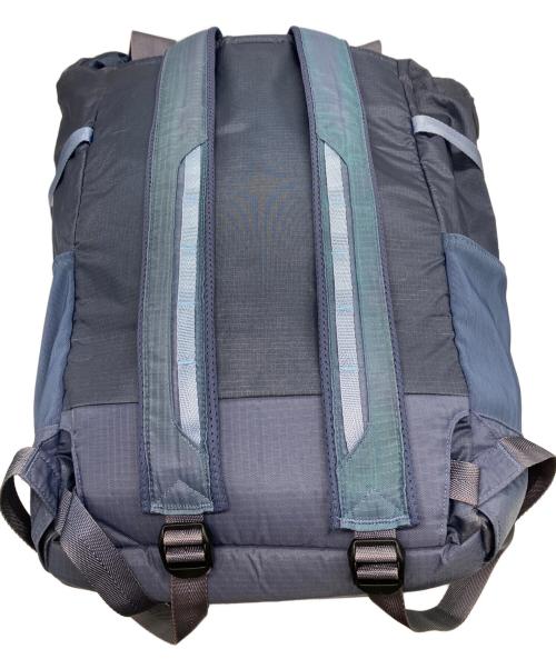 Patagonia（パタゴニア）Patagonia (パタゴニア) ライトウェイト トラベル トート パック/Lightweight Travel Tote Pack 22L /リュック ブルーの古着・服飾アイテム