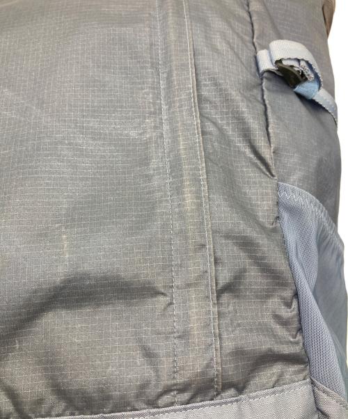 Patagonia（パタゴニア）Patagonia (パタゴニア) ライトウェイト トラベル トート パック/Lightweight Travel Tote Pack 22L /リュック ブルーの古着・服飾アイテム