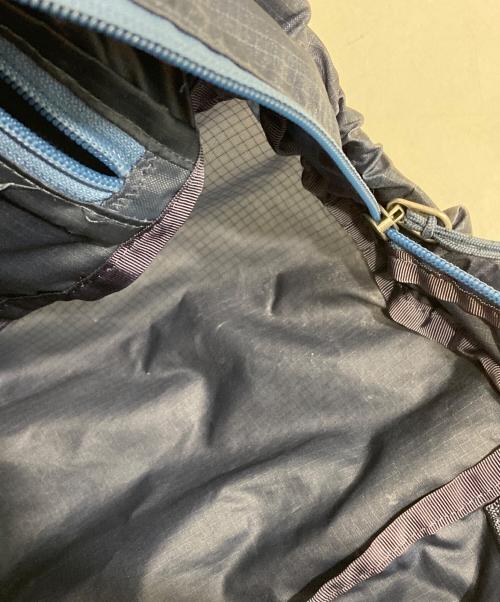 Patagonia（パタゴニア）Patagonia (パタゴニア) ライトウェイト トラベル トート パック/Lightweight Travel Tote Pack 22L /リュック ブルーの古着・服飾アイテム