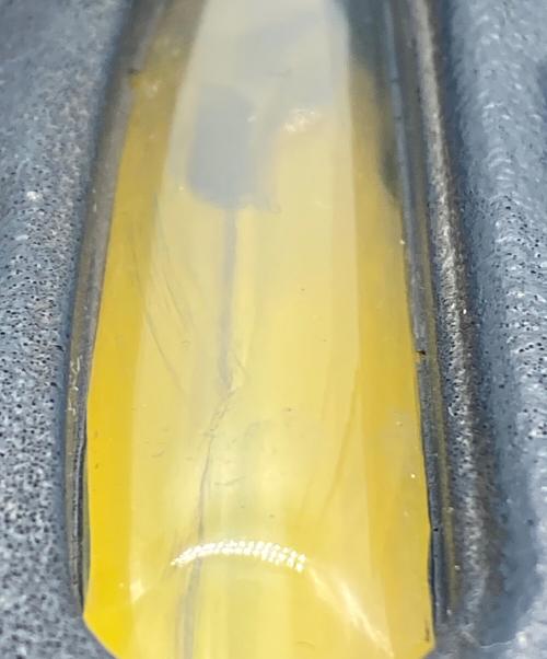 NIKE（ナイキ）NIKE (ナイキ) Eric Koston (エリック コストン) Air Max 95 