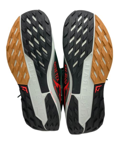 NIKE（ナイキ）NIKE (ナイキ) Pegasus Trail 5 GORE-TEX グリーン サイズ:28の古着・服飾アイテム