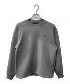 THE NORTH FACEザ ノース フェイス）の古着「26SS/ロングスリーブドットニットクルー/カットソー」｜グレー