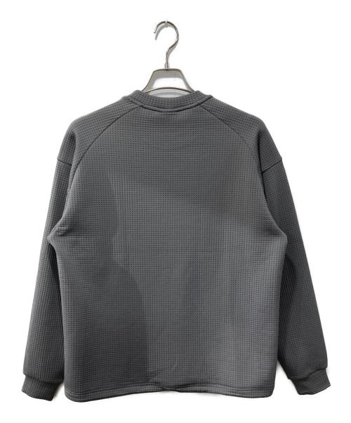 THE NORTH FACE（ザ ノース フェイス）THE NORTH FACE (ザ ノース フェイス) 26SS/ロングスリーブドットニットクルー/カットソー グレー サイズ:Sの古着・服飾アイテム