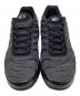NIKE (ナイキ) AIR MAX PLUS ブラック サイズ:26：13000円