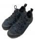 THE NORTH FACE（ザ ノース フェイス）の古着「Glenclyffe スニーカー」｜ブラック