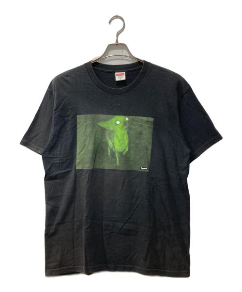 SUPREME（シュプリーム）SUPREME (シュプリーム) Chris Cunningham Chihuahua Tee ブラック サイズ:Mの古着・服飾アイテム
