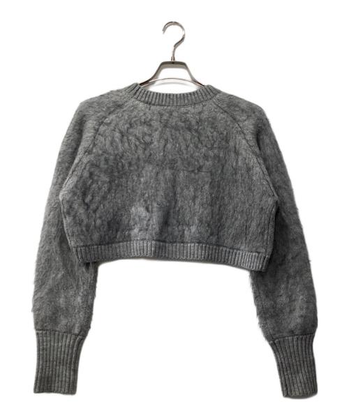 CITEN（シテン）CITEN (シテン) シャギークロップドプルオーバーニット グレー サイズ:Fの古着・服飾アイテム