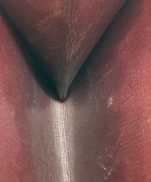 Cartier（カルティエ）Cartier (カルティエ) 2つ折り財布 パープルの古着・服飾アイテム