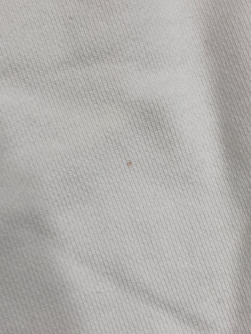 Champion（チャンピオン）Champion (チャンピオン) リバースウィーブフルジップパーカー ホワイト サイズ:Lの古着・服飾アイテム