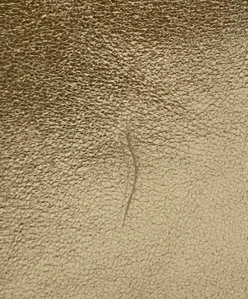 J&M DAVIDSON（ジェイ＆エム デヴィッドソン）J&M DAVIDSON (ジェイ＆エム デヴィッドソン) 2WAYバッグ ゴールドの古着・服飾アイテム