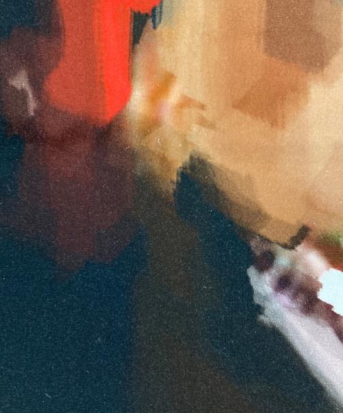 GIVENCHY（ジバンシィ）GIVENCHY (ジバンシィ) ドーベルマンTシャツ ブラック サイズ:Sの古着・服飾アイテム