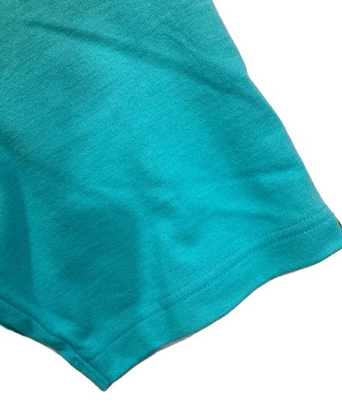 LOOPWHEELER for LOWERCASE（ループウィラー フォー ローケース）LOOPWHEELER for LOWERCASE (ループウィラー フォー ローケース) 別注 ツリテンジク ビッグTシャツ ブルー サイズ:Ⅿの古着・服飾アイテム