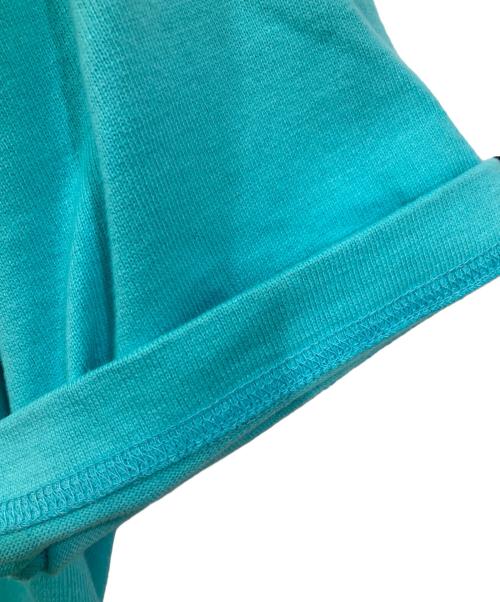 LOOPWHEELER for LOWERCASE（ループウィラー フォー ローケース）LOOPWHEELER for LOWERCASE (ループウィラー フォー ローケース) 別注 ツリテンジク ビッグTシャツ ブルー サイズ:Ⅿの古着・服飾アイテム