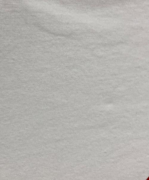 Patagonia（パタゴニア）Patagonia (パタゴニア) Tシャツ ホワイト サイズ:Ⅿの古着・服飾アイテム