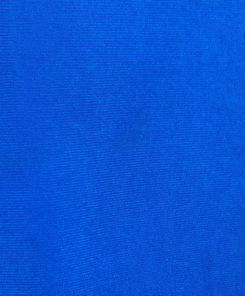 adidas（アディダス）adidas (アディダス) クラシックス ルーズ ファイヤーバード トラックトップ ブルー サイズ:Lの古着・服飾アイテム