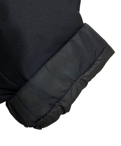 +PHENIX（フェニックス）+PHENIX (プラスフェニックス) FREAK'S STORE (フリークストア) GORE-TEX INFINIUM DOWN JACKET ブラック サイズ:Lの古着・服飾アイテム