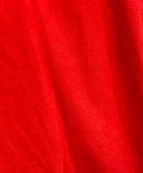 stussy（ステューシー）stussy (ステューシー) 90s ワールドツアーTシャツ レッド サイズ:Sの古着・服飾アイテム