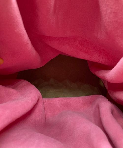 IL BISONTE（イル ビゾンテ）IL BISONTE (イル ビゾンテ) 巾着ハンドバッグ ピンクの古着・服飾アイテム