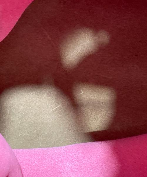 IL BISONTE（イル ビゾンテ）IL BISONTE (イル ビゾンテ) 巾着ハンドバッグ ピンクの古着・服飾アイテム