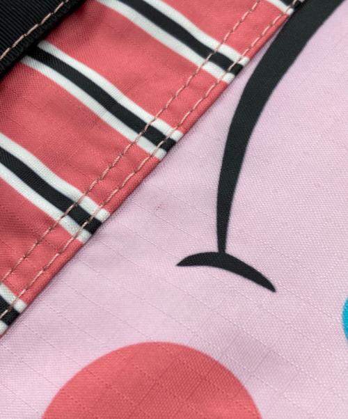 LeSportsac（レスポートサック）LeSportsac (レスポートサック) JEREMYVILLE (ジェレミービル) リュック マルチカラーの古着・服飾アイテム