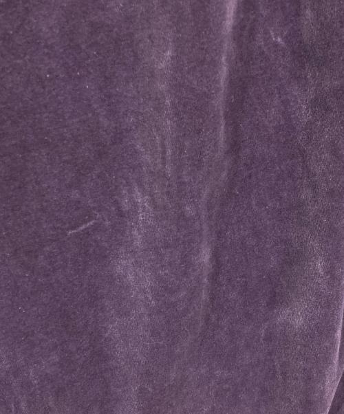 el conductorh（コンダクター）el conductorH (コンダクター) ベロアパンツ パープル サイズ:2の古着・服飾アイテム