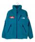 THE NORTH FACE（ザ ノース フェイス）の古着「Trans Antarctica Fleece Jacket」｜ブルー