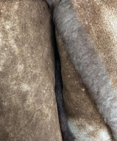 Schott（ショット）Schott (ショット) SHEEP SKIN COAT ムートンコート ブラウン サイズ:40の古着・服飾アイテム