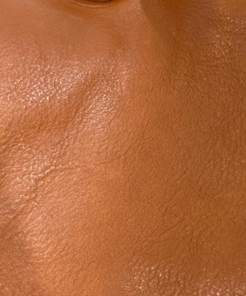 IL BISONTE（イル ビゾンテ）IL BISONTE (イル ビゾンテ) レザーリュック ブラウンの古着・服飾アイテム